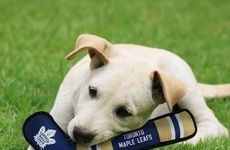 Pet-Focused Sports Partnerships