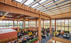 Wood-Incorporated Office Spaces Article Thubnail