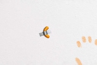 Snack Artwork Auctions Image 1