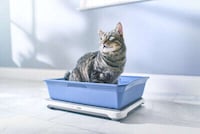 Health-Focused Pet Lines Image 2
