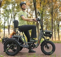 High-Performance Electric Tricycles Image 2