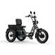 High-Performance Electric Tricycles Image 6