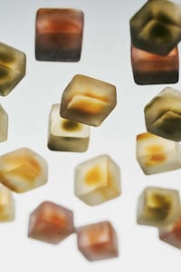 Functional Medicinal Chinese Mushrooms Image 3