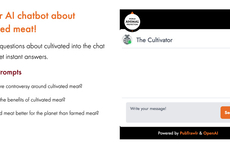 Cultivated Meat Chatbots