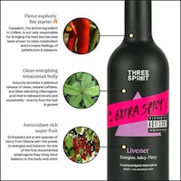Spicy Non-Alcoholic Elixirs Image 2