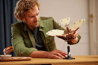 Historic Bird-Like Contraption Recreations Image 3