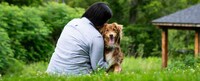 Ethical Pet Nutrition Deals Image 1