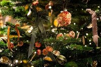Ultimate Christmas Suites Image 4