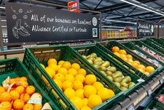 Packaging-Free Produce Ranges Article Thubnail