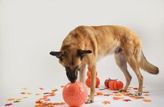 Durable Canine Soccer Balls