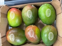 Sticker-Free Laser-Etched Mangoes Image 1