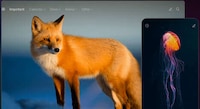 Collaborative Email Platforms Image 1