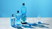 Sculptural Glass Bottles