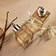 Warm Amber Perfume Oils Image 1