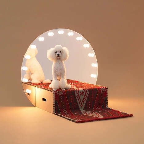 Artful Doghouse Design Exhibitions