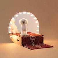 Artful Doghouse Design Exhibitions Image 1