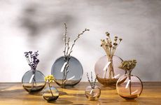 Contemporary Glassware Collections