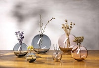 Planetary-Inspired Glassware Capsules Image 5