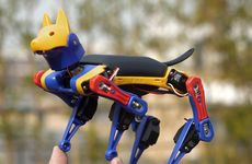 Evolving Robot Dog Companions