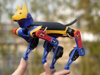 Evolving Robot Dog Companions