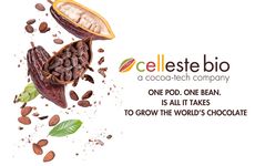 Cultured Cocoa Technologies