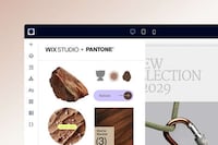 Color-Centric Web Capsules Image 1