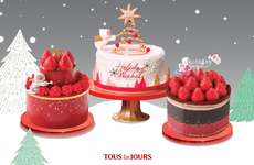 Festive Christmas Cake Collections