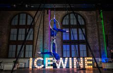 Immersive Icewine Festivals