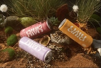 Indigenous-Owned Functional Beverages Image 1
