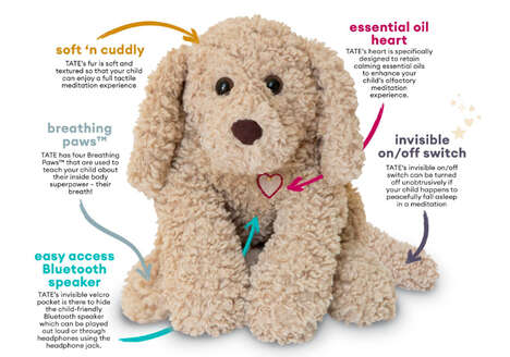Multi-Sensory Play Experiences