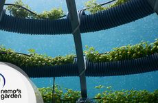 Underwater Farming Initiatives