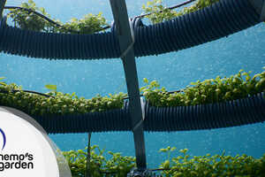 Underwater Farming Initiatives Article Thubnail