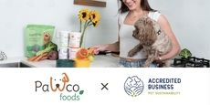 Sustainable Modern Pet Brands Article Thubnail