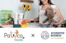 Sustainable Modern Pet Brands