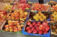 Sustainably Harvested French Apples