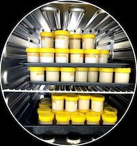 Nutrient-Dense Dairy-Free Yogurts