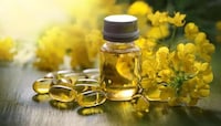Plant-Based Dietary Supplements Image 1