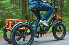 Easy-to-Ride Electric Cruiser Trikes