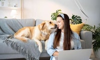 Premium Pet Care Capsules Image 1
