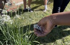 School-Age Farming Programs