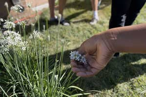 School-Age Farming Programs Article Thubnail