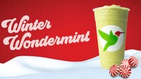 Minty Frozen Yogurt Smoothies Image 1