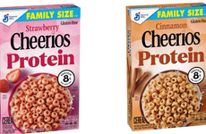 Protein-Enriched Breakfast Cereals