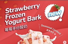 Frozen Flavored Yogurt Barks