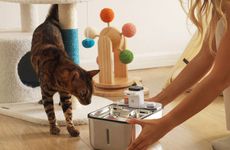 Eco-Friendly Cat Water Fountains