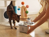 Eco-Friendly Cat Water Fountains Image 1