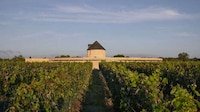 Historic Mill-Transformed Vineyards Image 2