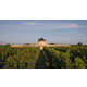 Historic Mill-Transformed Vineyards Image 2