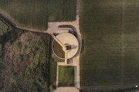 Historic Mill-Transformed Vineyards Image 4