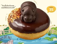Viral Hippo-Inspired Donuts